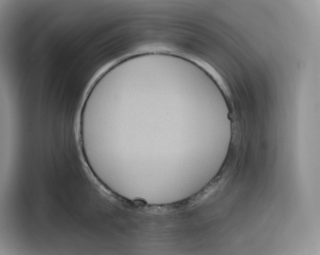 X0000115070815200911241121