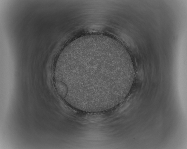 X0000115070817200911241120
