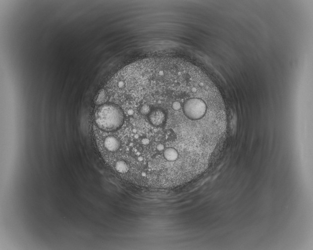 X0000115070819200911241120