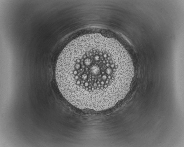 X0000115070821200911241120