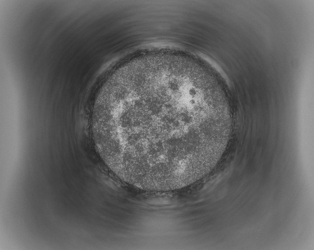 X0000115070823200911241120