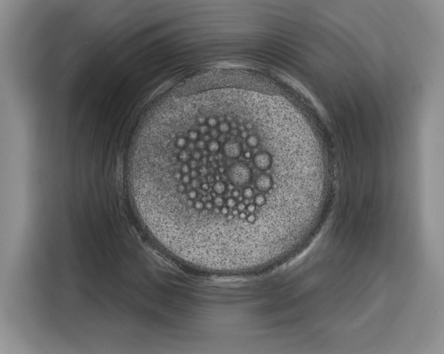 X0000115070825200911241120