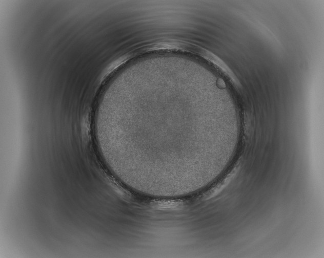 X0000115070826200911241120