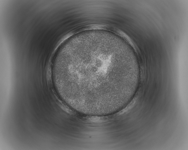 X0000115070827200911241120