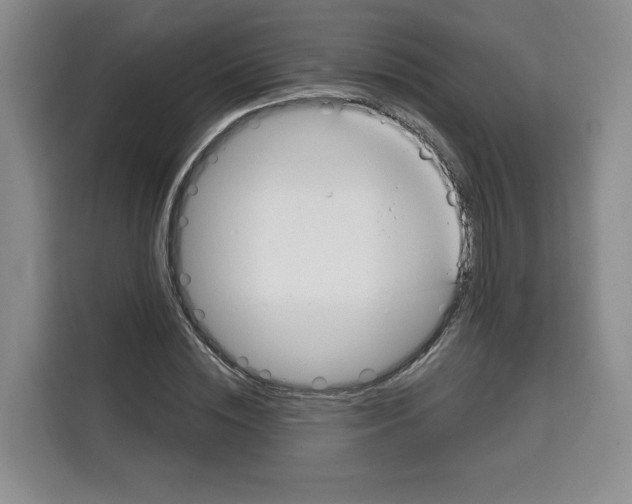 X0000115070828200911241120