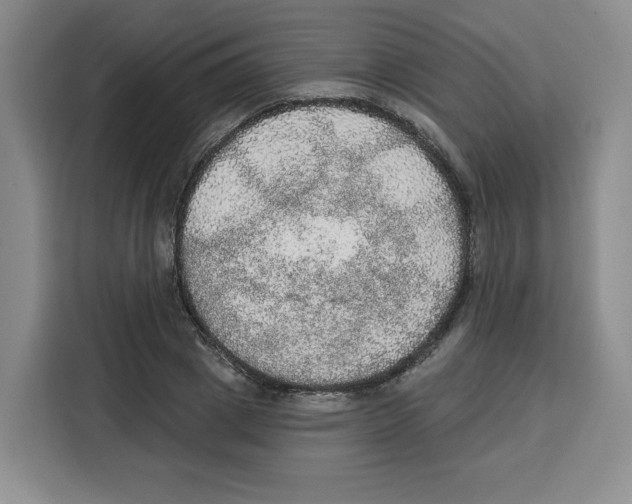 X0000115070833200911241120