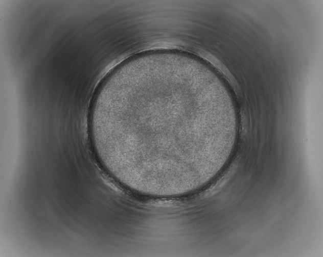 X0000115070834200911241120
