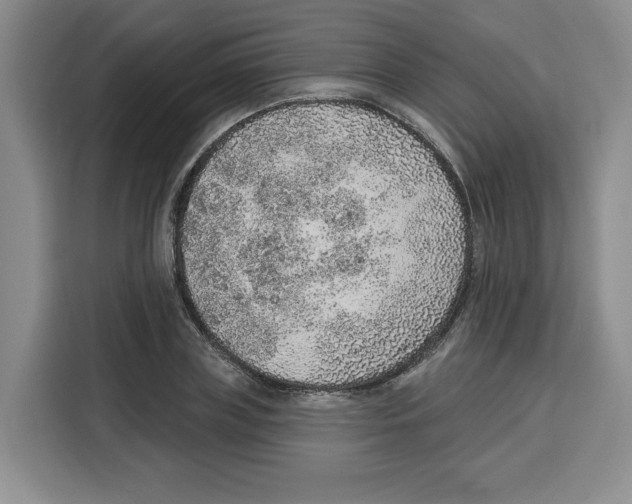 X0000115070835200911241120