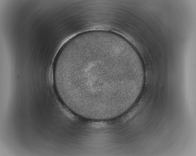 X0000115070838200911241120