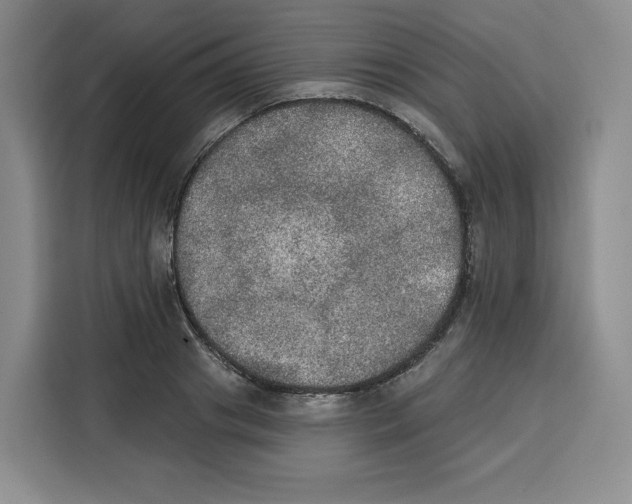 X0000115070841200911241120