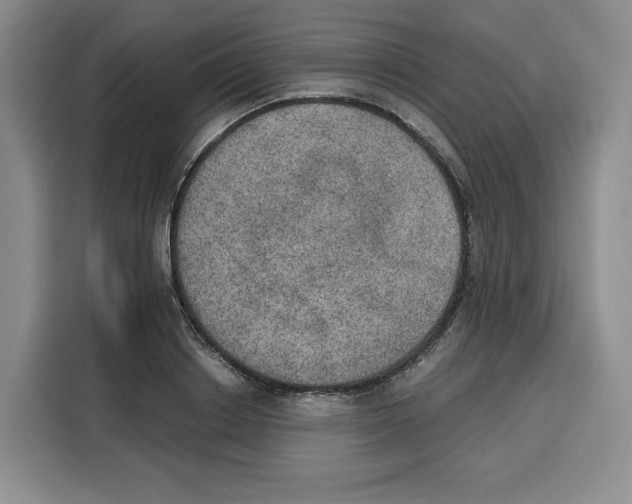 X0000115070842200911241120