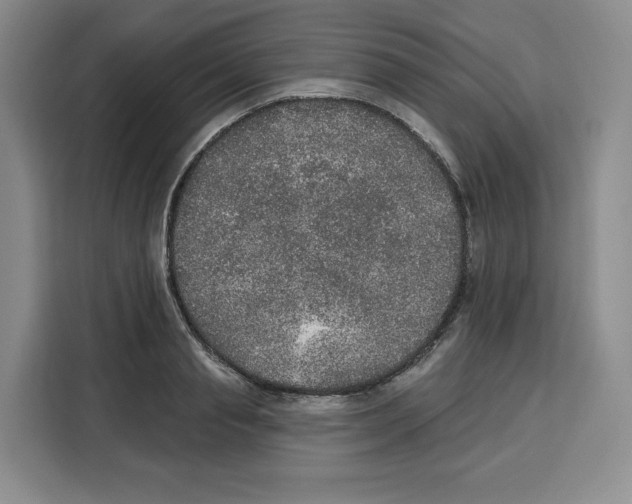 X0000115070845200911241120
