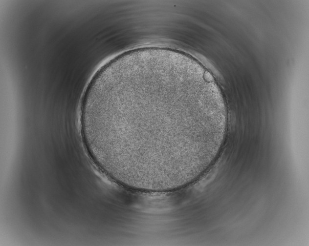 X0000115070846200911241120