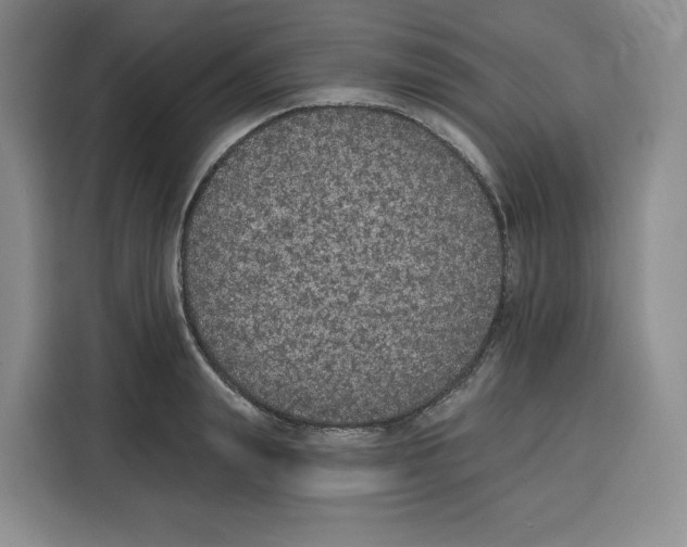 X0000115070847200911241120
