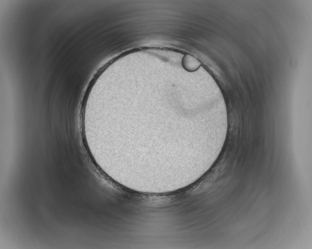 X0000115070848200911241120