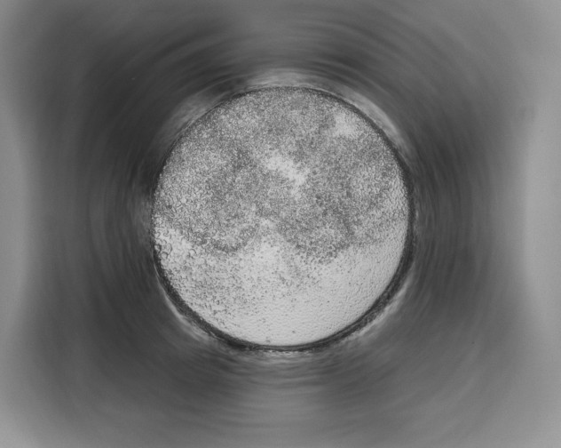 X0000115070849200911241120