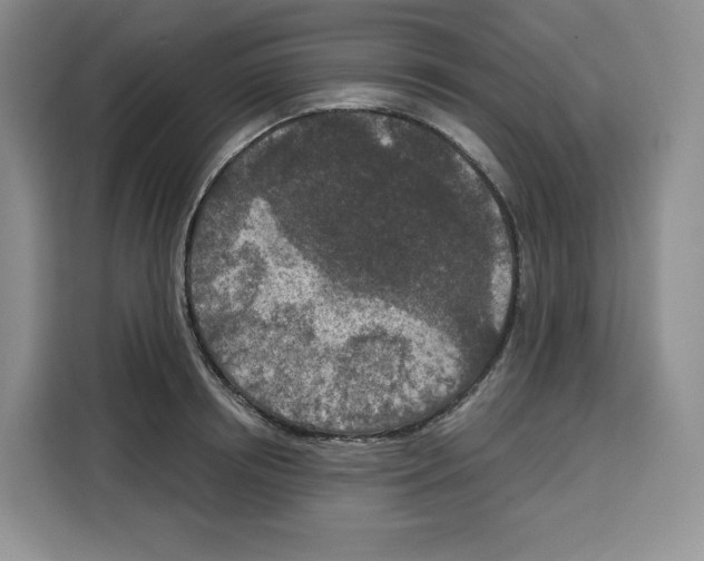 X0000115070850200911241120