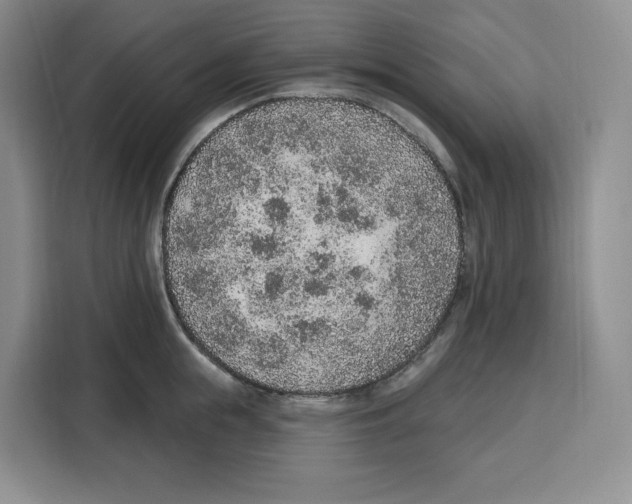 X0000115070855200911241121