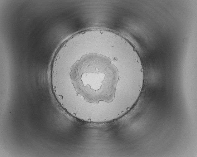 X0000115070856200911241121