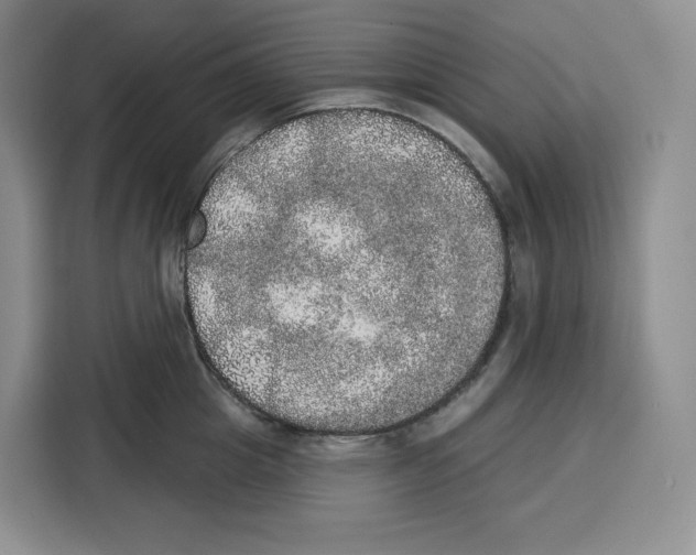 X0000115070857200911241121
