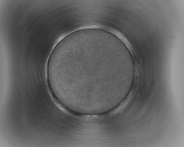 X0000115070858200911241121