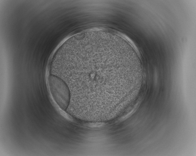 X0000115070859200911241121