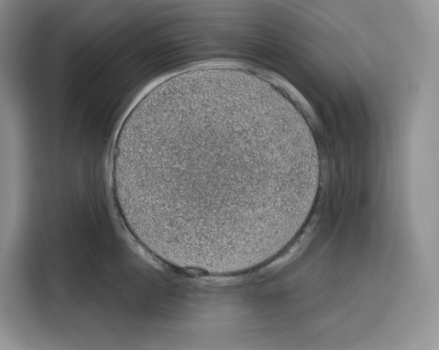 X0000115070860200911241121