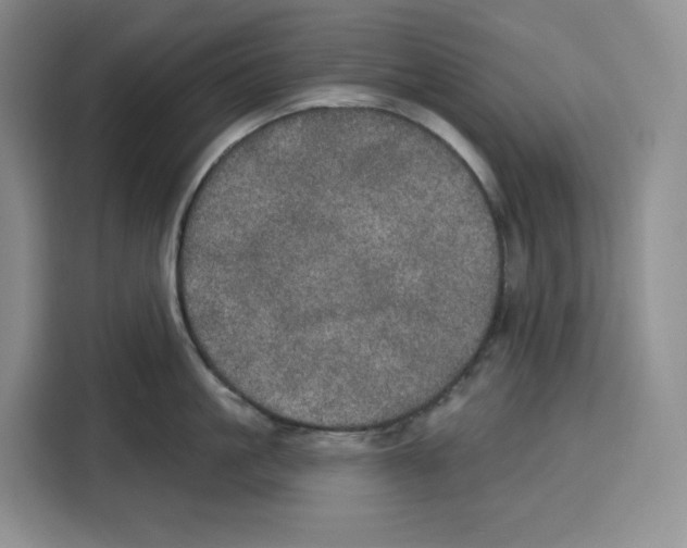 X0000115070861200911241121