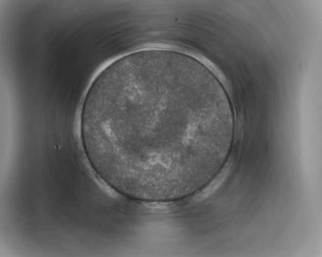 X0000115070862200911241121