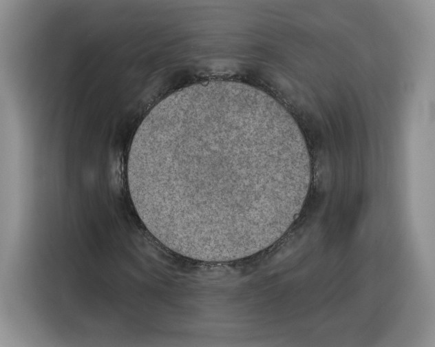 X0000115070866200911241120