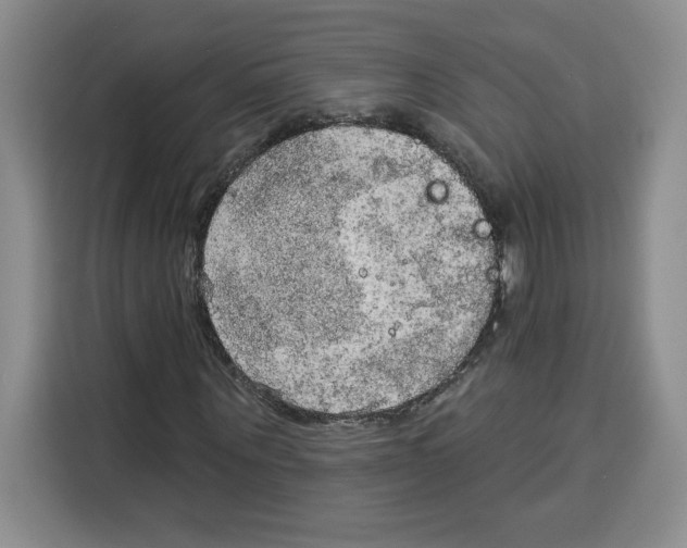X0000115070867200911241120