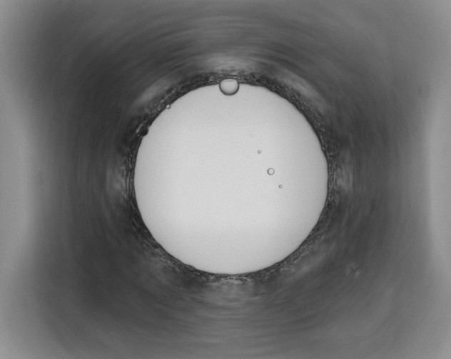 X0000115070869200911241120