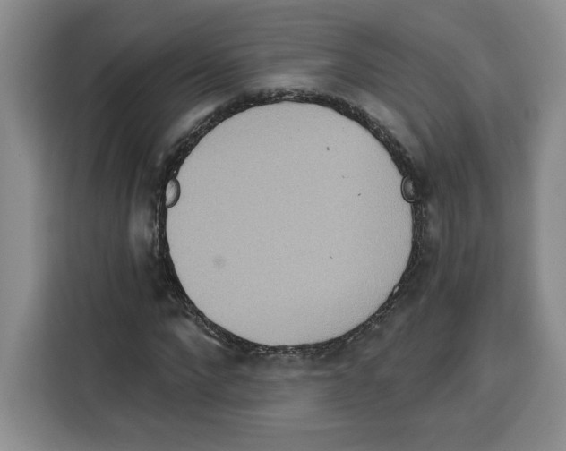 X0000115070872200911241120