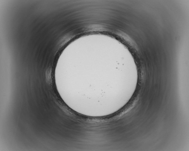 X0000115070873200911241120