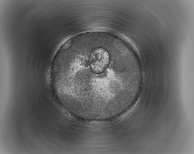 X0000115070875200911241120