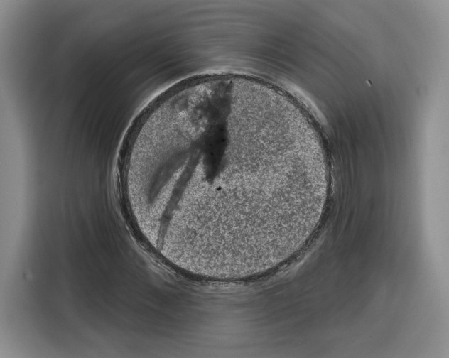 X0000115070876200911241120