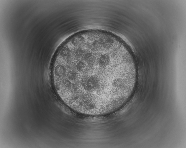 X0000115070879200911241120