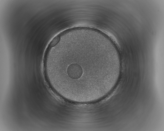 X0000115070880200911241120