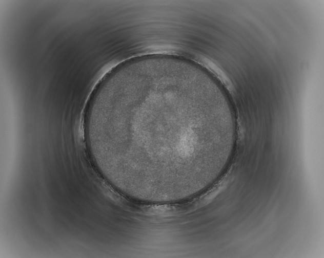 X0000115070883200911241120