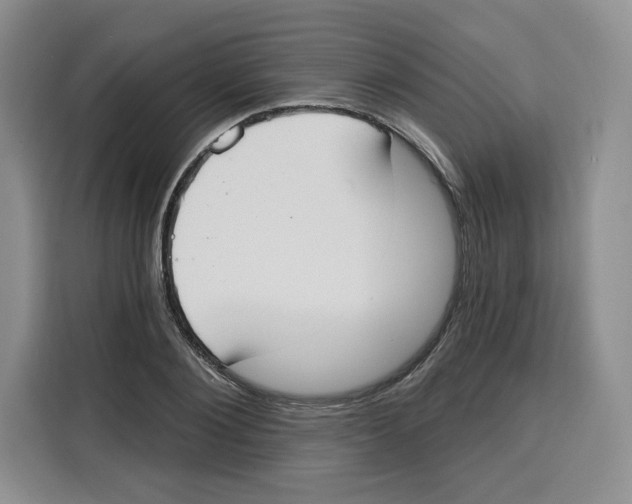 X0000115070884200911241120
