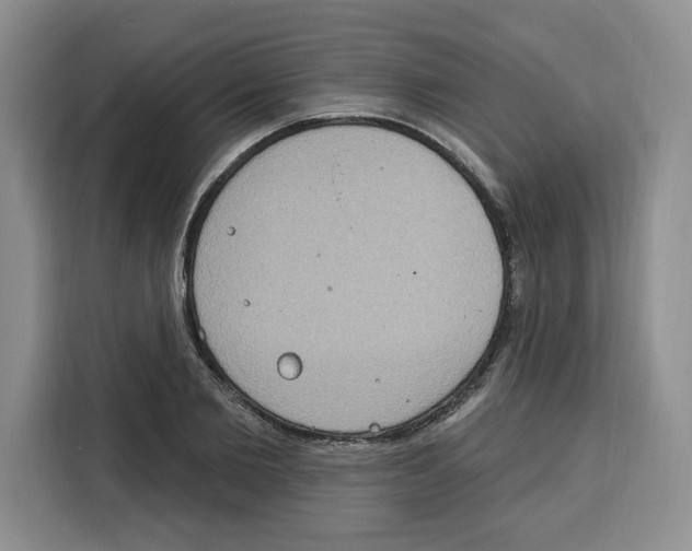 X0000115070885200911241120