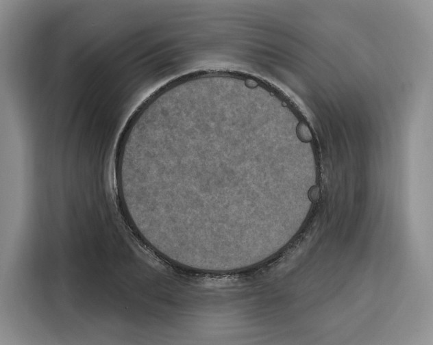 X0000115070887200911241120