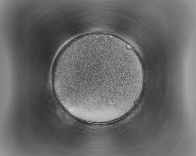 X0000115070888200911241120