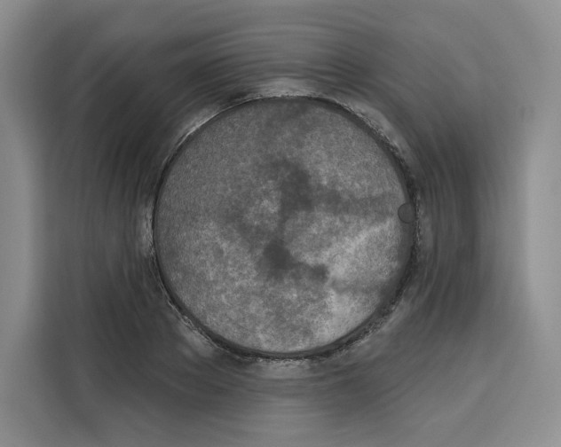 X0000115070889200911241120