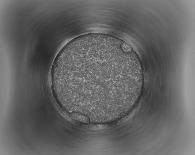 X0000115070891200911241120