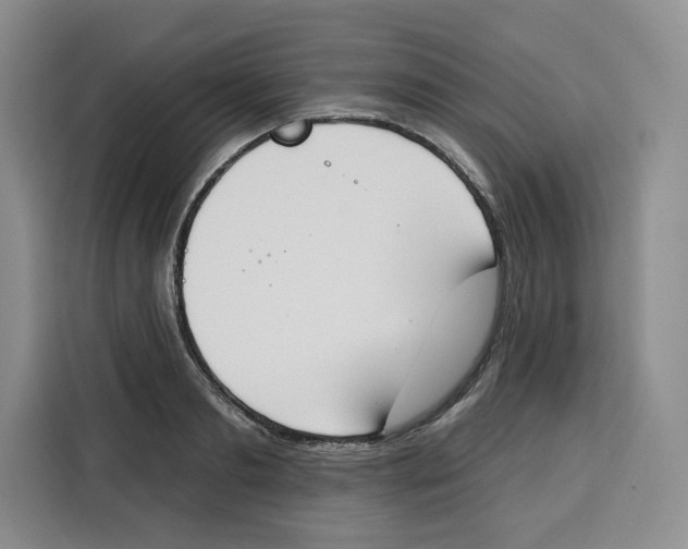 X0000115070893200911241120