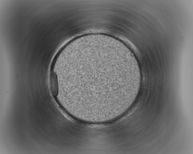 X0000115070894200911241120