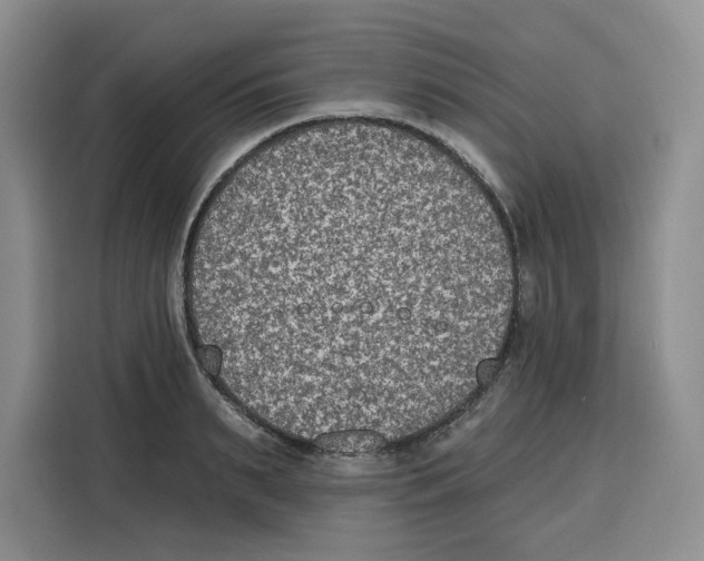 X0000115070895200911241120