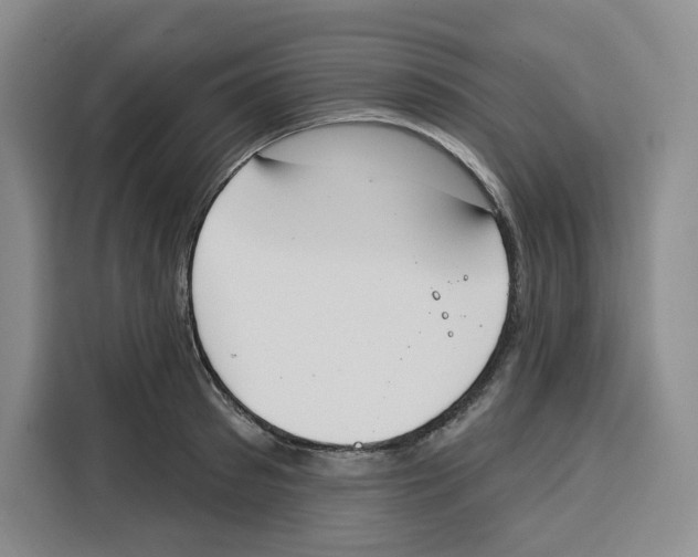 X0000115070897200911241120