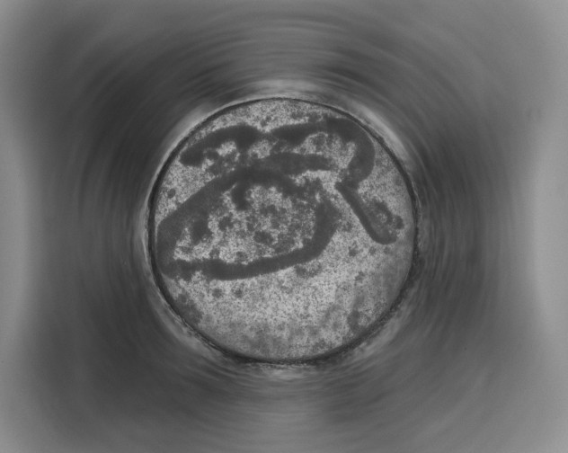 X0000115070899200911241120